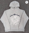 Grey Arach NY Phobia